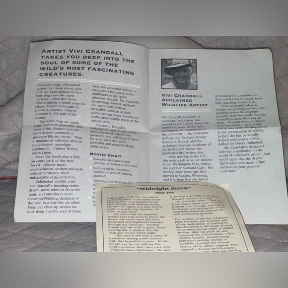 Bradford Exchange Mystic Spirit "MIDNIGHT SNOW" Wolf Plate A23 - Picture 4 of 5